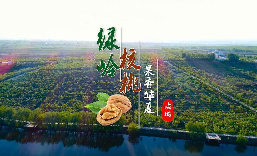 小饥饿咔咔来两颗带给您不一样的感 写美篇临城绿岭核桃小镇风景区