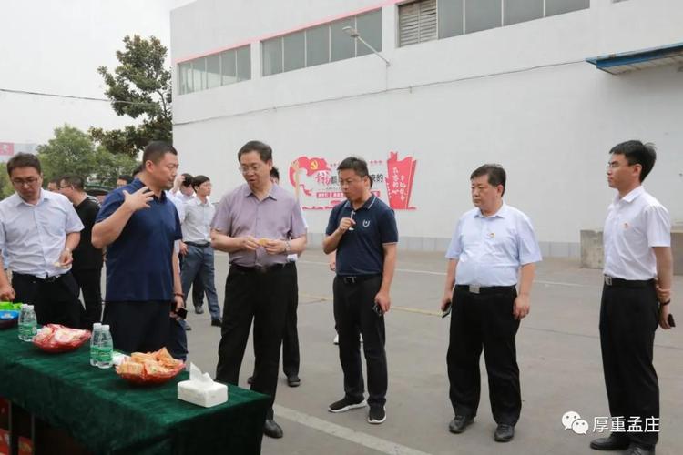 辉县市人大代表,孟庄镇党委书记付九忱陪同省委调研组调研乡村振兴