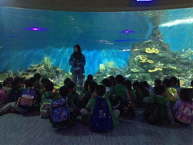 (1号车)重庆璧山东关小学二年级一班汉海极地海洋公园研学之旅