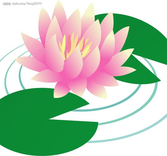 荷花图片[矢量图,ai]
