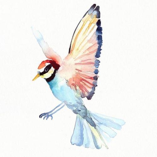 conrad roset 飞鸟 - 插画艺术 - cnu视觉联盟