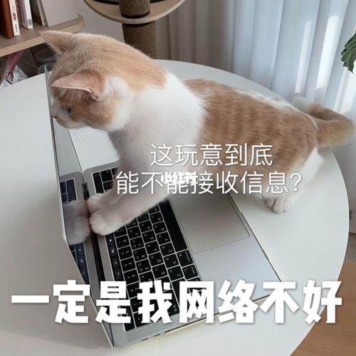 终归是我错付了01_表情包_宝宝表情包_素材_表情包