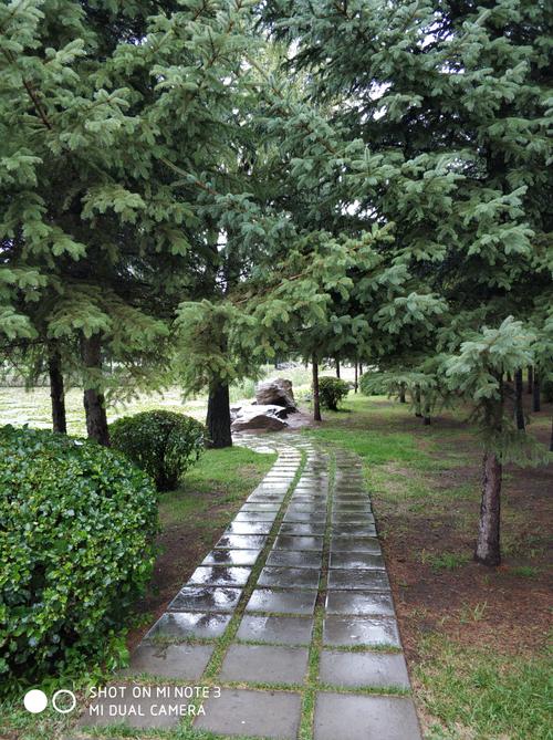 初秋的雨有些凉!