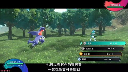 《宝可梦传说 阿尔宙斯》图集