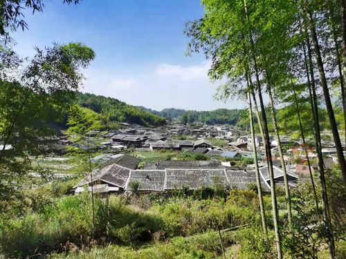 15,李宝焌的故乡洋峰村近期洋峰村全景(李国河  摄影)