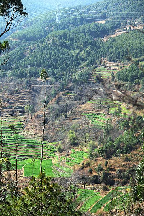 高清竖屏山村绝美版风景图片