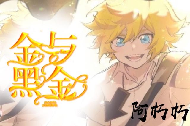 凹凸世界金与黑金