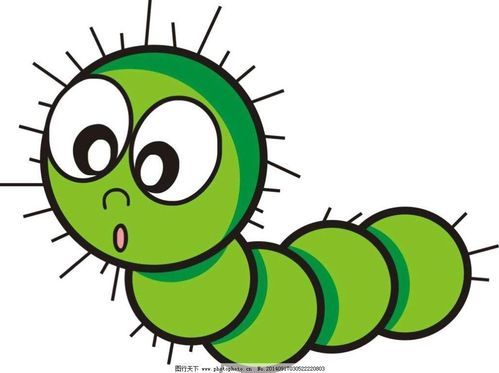 毛毛虫变变变蝴蝶