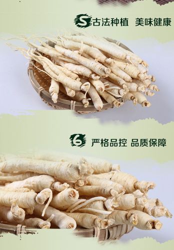 白糖参100g长白山优选沙糖甜参泡参常吃脾胃好煲汤