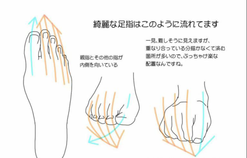 画完你可能成为大佬!人物足脚画法教程!