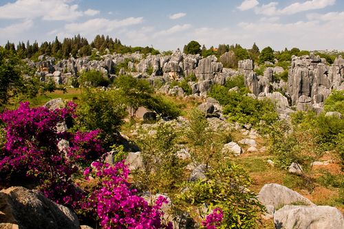 data-lemmaid="9709681">石林 /a>风景区,又称为云南石林,位于昆明