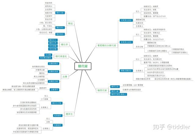 生物化学糖代谢思维导图系列六