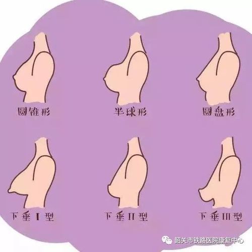 而按摩可增加乳腺发育,促进胸部肌肉群发育及韧带的紧实,从而使乳房