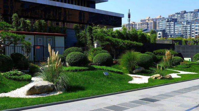 我们小区门前的人行道花坛2