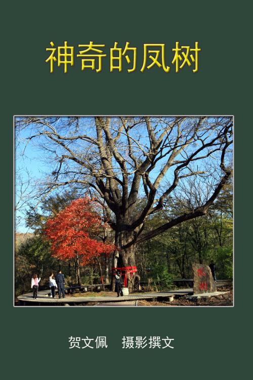 神奇的凤树