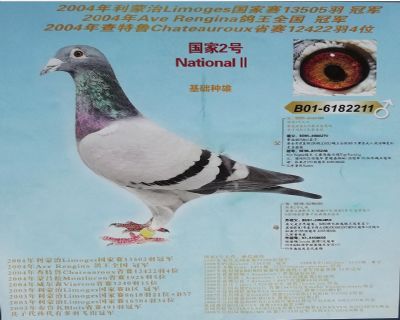 丹尼斯原舍理贝尔