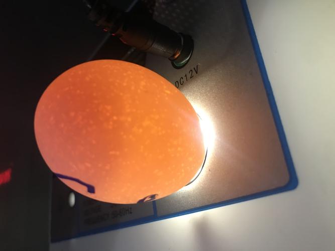 其它 小鸡孵化过程 写美篇 第七天照蛋图