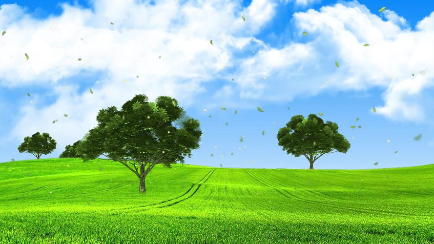 4k唯美绿色大草原大树