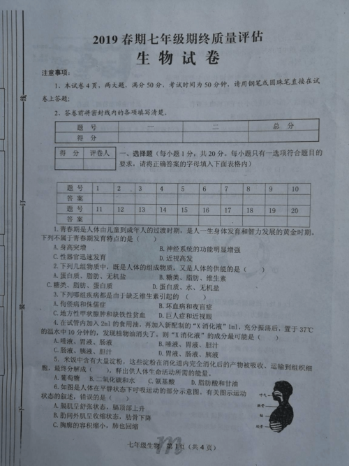 河南省南阳市淅川县2018-2019学年七年级下学期期末考试生物试题(扫描
