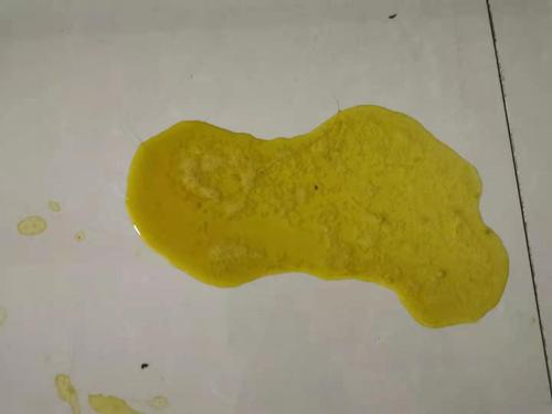 求助!猫咪吐了黄色液体怎么办,内有图片