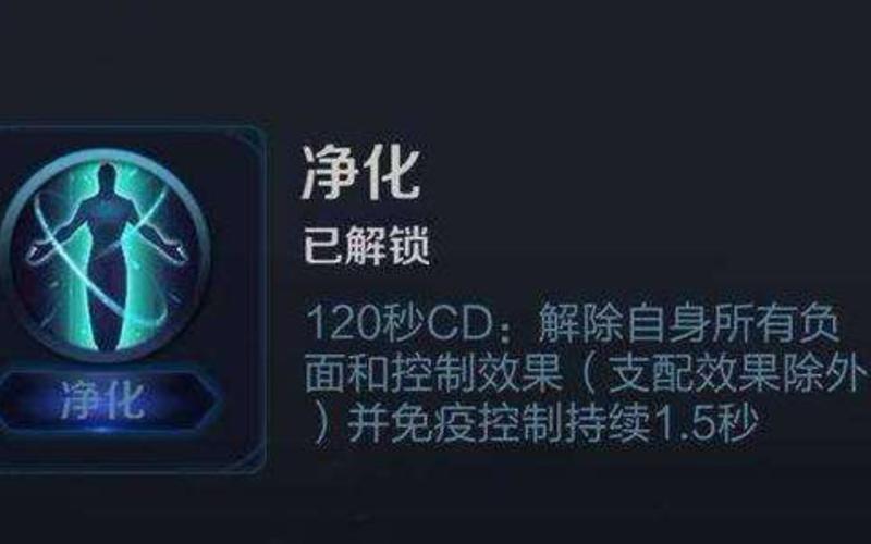 净化曜刚开始玩王者请问净化是只能这么用吗