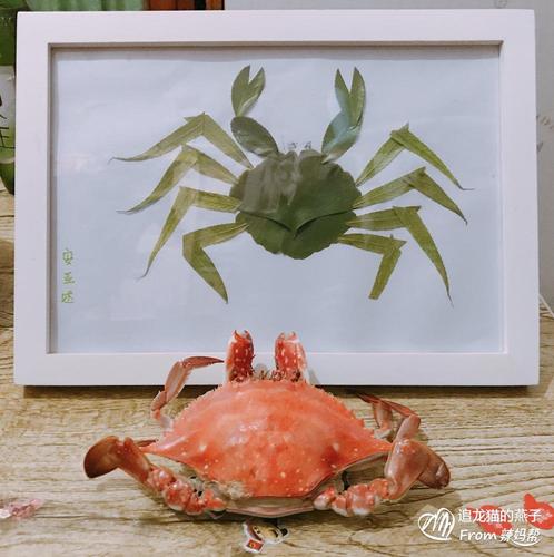 【最爱diy】树叶就是很好的玩具!益智又省钱