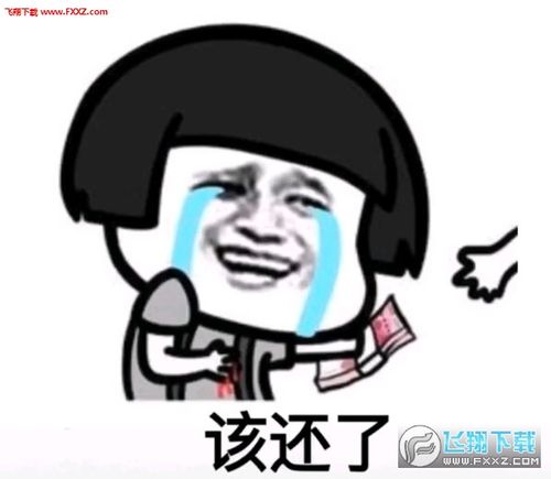 纸短情长版催还钱表情包