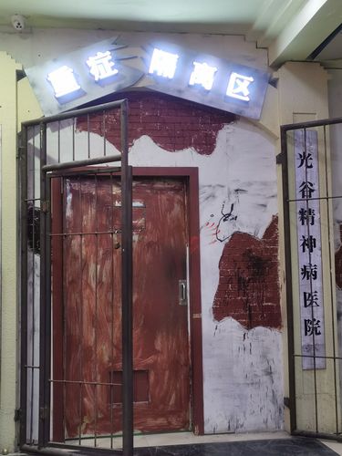 光谷疯人院入院申请书(60分钟)