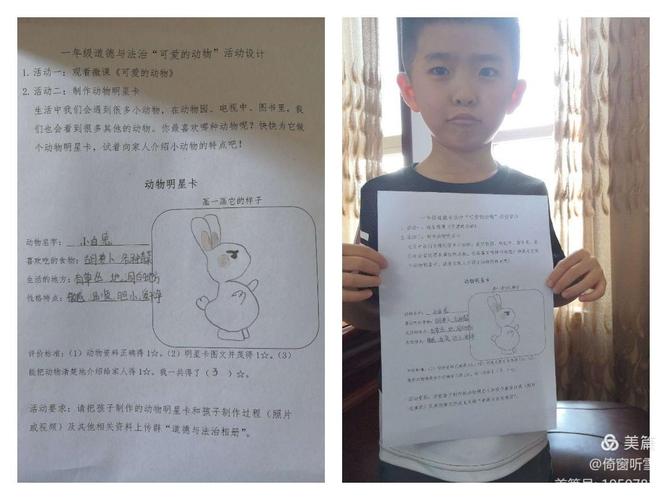 《动物明星卡》——海河小学一年级道德与法治主题教育活动(五)