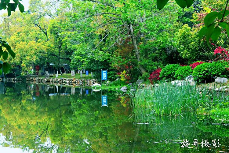 随州论坛 _ 绿意白云公园 - 阳光快门 - app客户端版