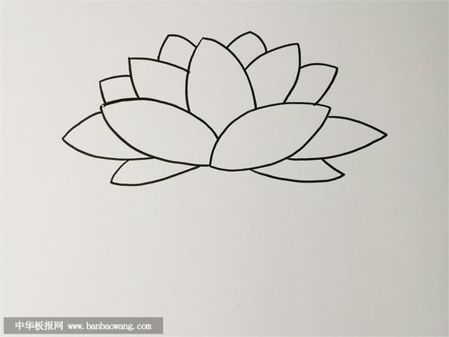 荷花怎么画简单又漂亮