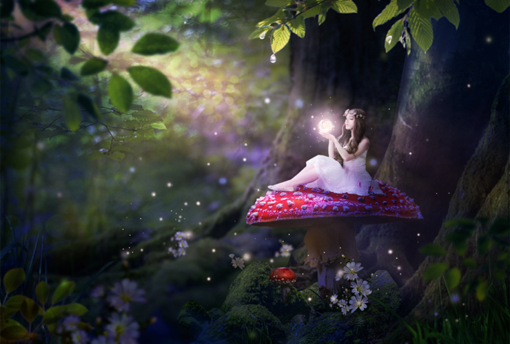 ps教程教你合成梦幻森林童话场景