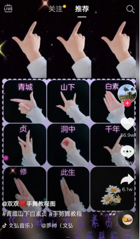 《抖音》青城山下白素贞手势舞教程