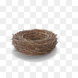 600*600 鸟巢 png 1052*738 鸟巢金蛋鸟窝 png 4724*3543 鸟巢插画