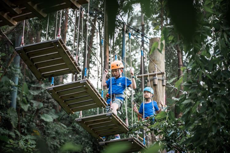 城市里最后一片绿色空间,可拉熊丛林探险营地!