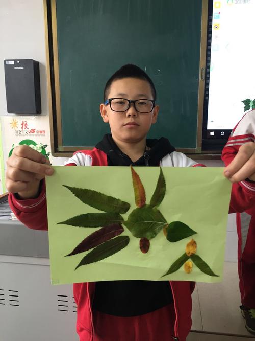 树叶画(六年级美术作品)抓住秋天的尾巴,一起来创作吧!