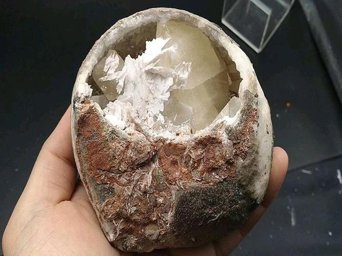 恐龙蛋内部你见过吗?蛋清如同水晶!