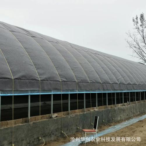 厂家供应 温室拱棚冬暖式椭圆管几字钢薄膜蔬菜养殖大棚