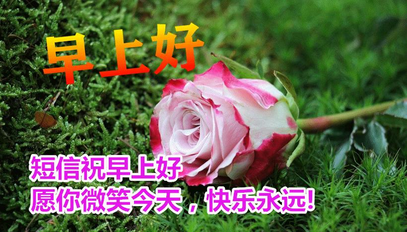 9月9日早上好动态表情图片大全早晨好动图美图大全