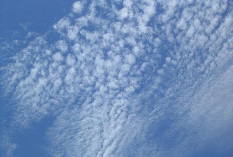 简单科普一下云的分类