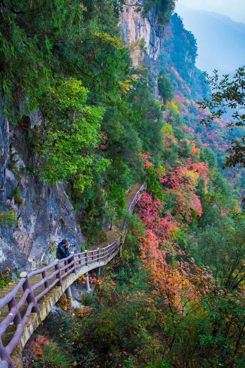 2020神农峡岩屋沟风景区-旅游攻略-门票-地址-问答-游记点评,房县旅游