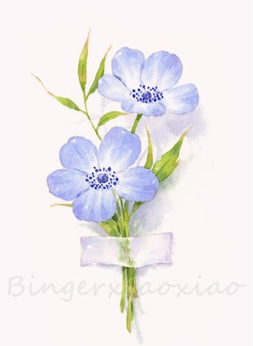 一组清新美丽的花卉水彩速写分享!