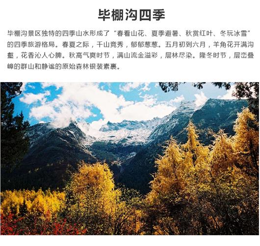 四川省阿坝州理县朴头乡朴头村毕棚沟景区门票观光车票