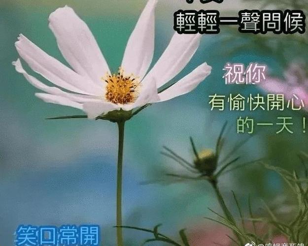 下午好表情图:温馨的祝福语大全简短