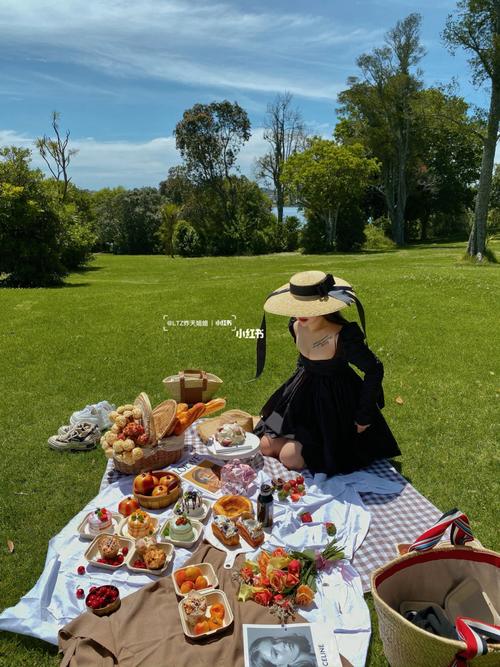 南半球的夏天到了给你们最全的野餐图教程  让拍出犹如法国9193
