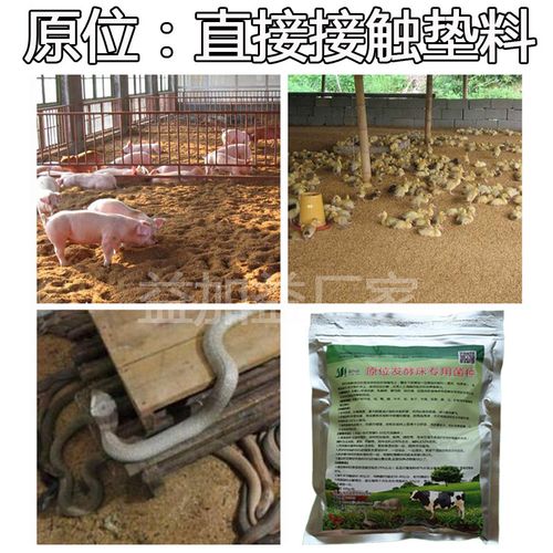 放心好店发酵床菌种干撒养鸡养殖鸡鸭鹅