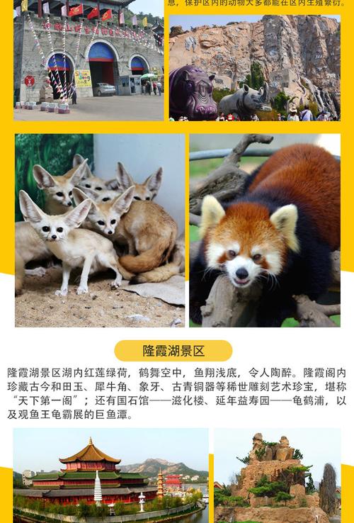 威海西霞口神雕山野生动物园 隆霞湖纯玩一日游 (威海