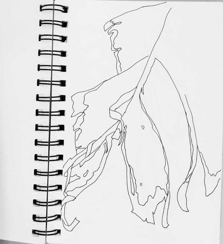 每日一画---雨打芭蕉