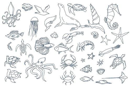 海底世界简笔画带颜色海底绘画笔记本笼子海洋动物海鲜扇贝蟹肉龙虾