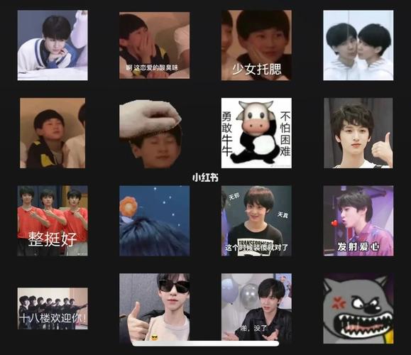 时团表情包_表情包_时代少年团_土豆_tnt时代少年团_素材_表情包